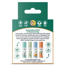 Badger Classic Lip Balm Collection - 4 Pack - Green Box