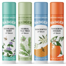 Badger Classic Lip Balm Collection - 4 Pack - Green Box